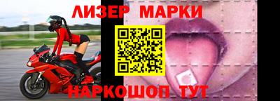 шишки Обь