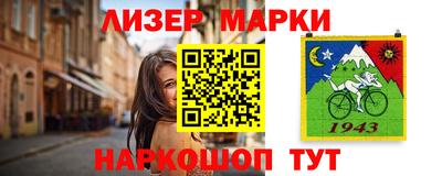 шишки Обь