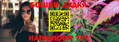 шишки Обь