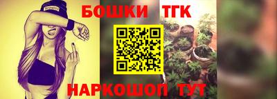 шишки Обь