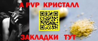 шишки Обь