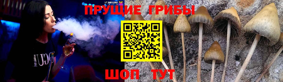 Галлюциногенные грибы MAGIC MUSHROOMS  Вход с VPN  Свободный 